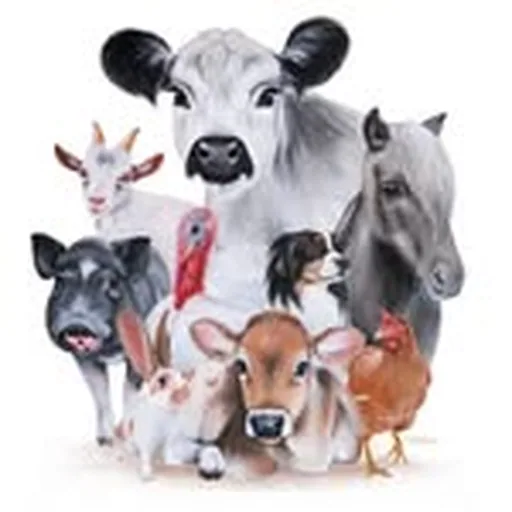 @lebenshof_odenwald profile image