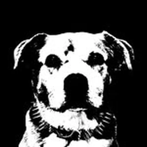 @leer.sfhc profile image