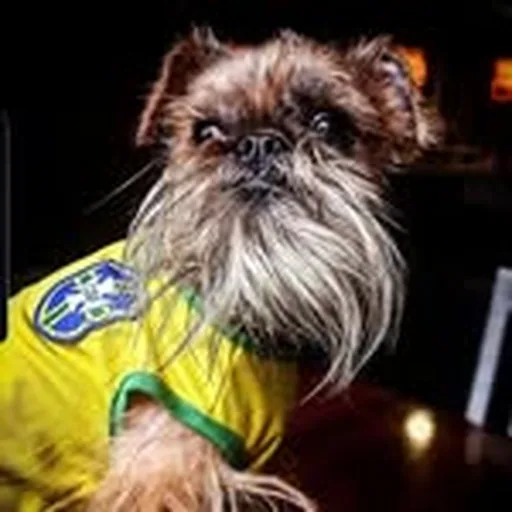 @leerenaldo profile image