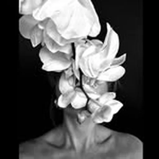 @leila_leamm profile image