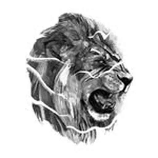 @leonedirector profile image