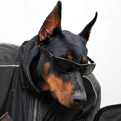 @leonsantana_ profile image