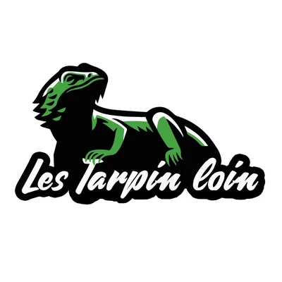 @les_tarpin_loin profile image