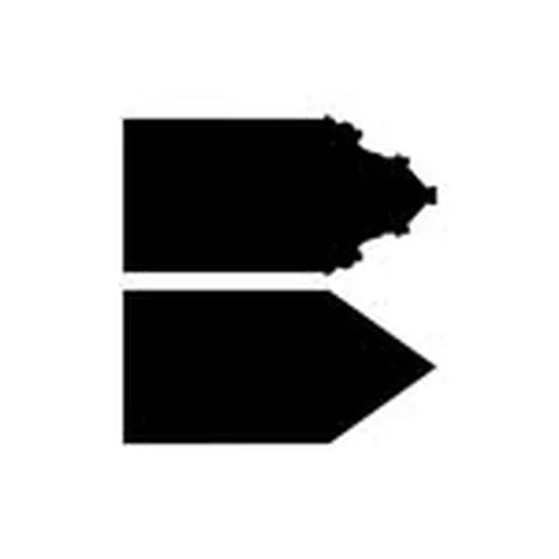 @lesbrigittines profile image