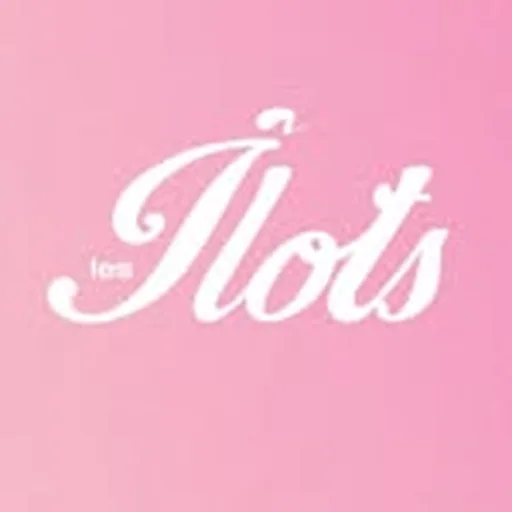 @lesilots profile image