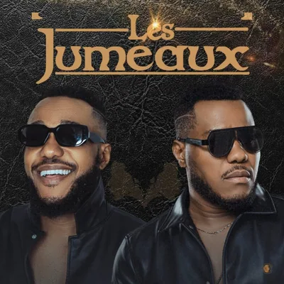 @lesjumeauxhaiti_official profile image