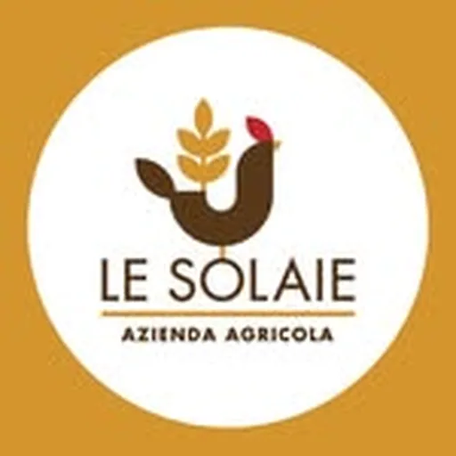@lesolaie profile image