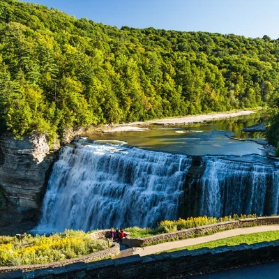 @letchworthstatepark profile image