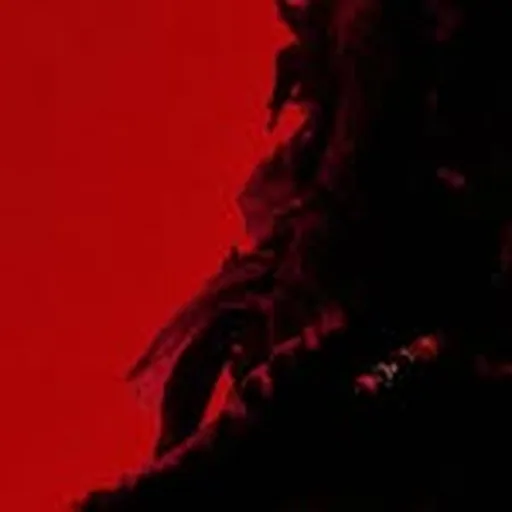 @levitationorchestra profile image