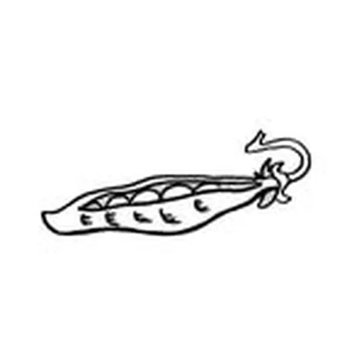 @lezaricot profile image