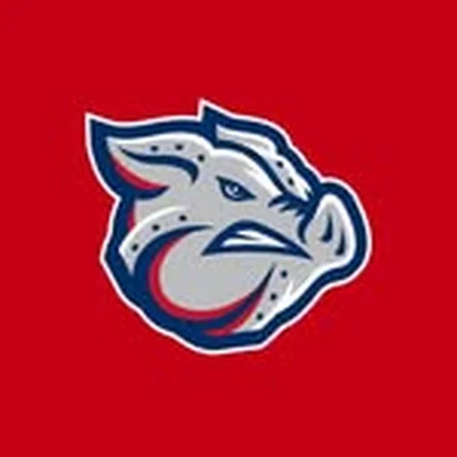 @lhvironpigs profile image