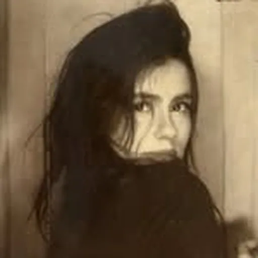 @liagarciaf profile image