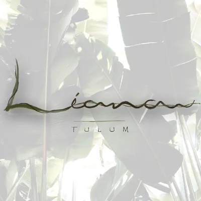 @lianatulum profile image