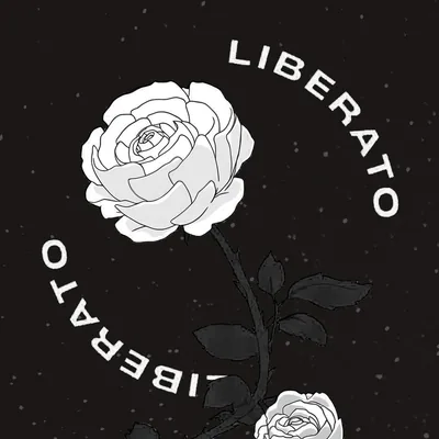 @liberatomusic profile image
