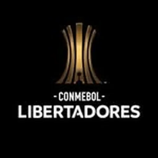 @libertadores profile image