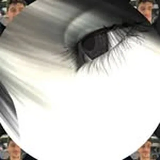 @libraries profile image