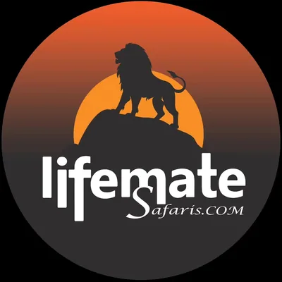 @lifemate_safaris profile image