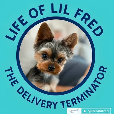 @lifeoflilfred profile image