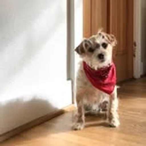 @lifewithleroy profile image