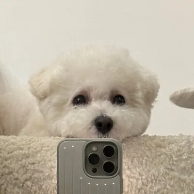 @lifewithwade profile image