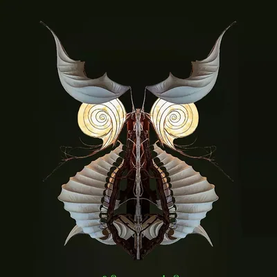 @light_sculpture profile image