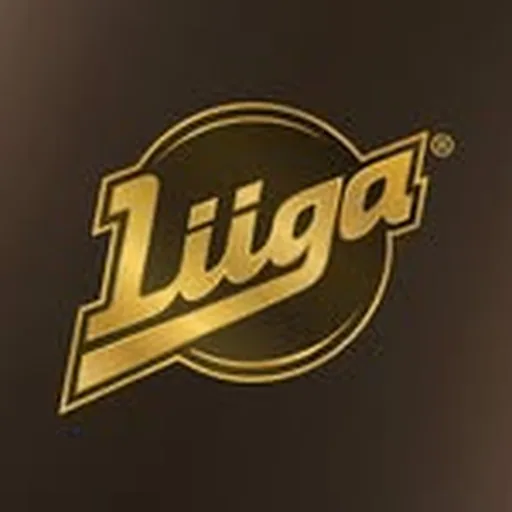 @liiga.fi profile image