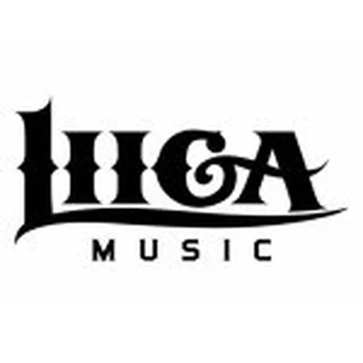@liigamusicofficial profile image