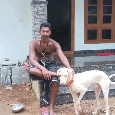 @lijokochupoovathummoottil profile image