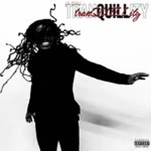 @lil.quill profile image
