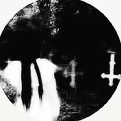 @lilcrix profile image