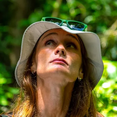 @lilianschiffer profile image