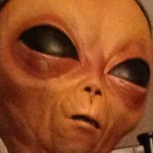 @lilmayo profile image