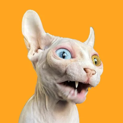 @lilpicklesjar profile image