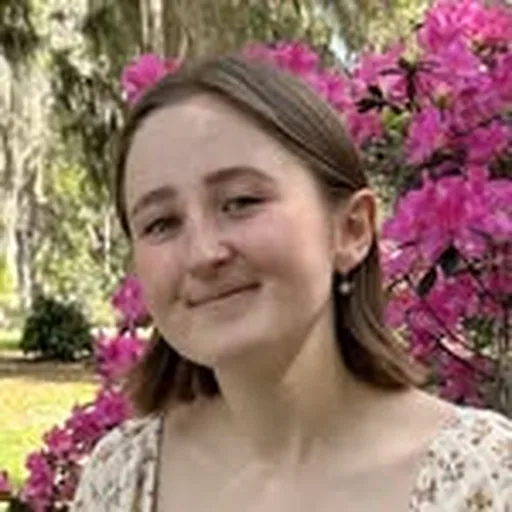 @lilsimsie profile image