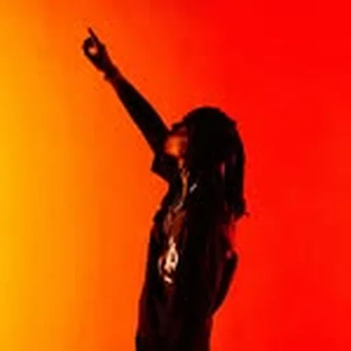 @liltoonk_ profile image