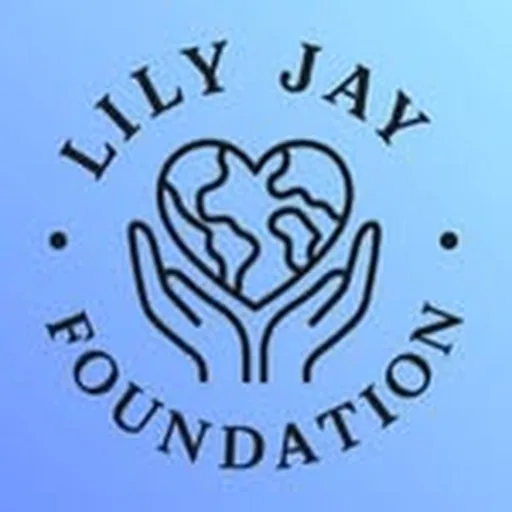 @lilyjayfoundation profile image