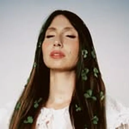 @lilymeola profile image