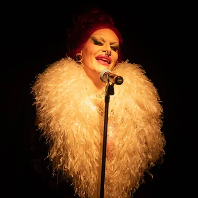 @lilypolyester profile image