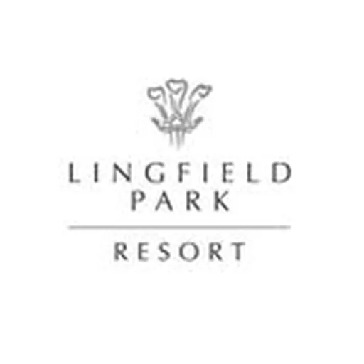 @lingfieldpark profile image