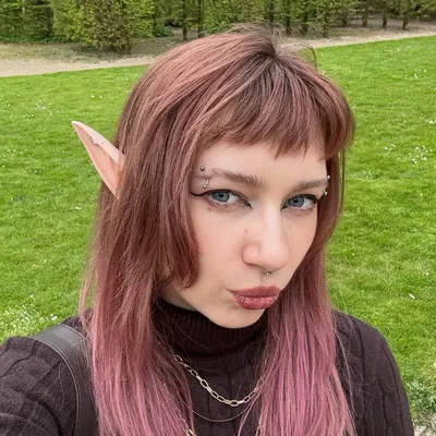 @lingulamo profile image