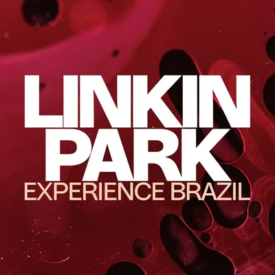 @linkinparkexperiencebr profile image