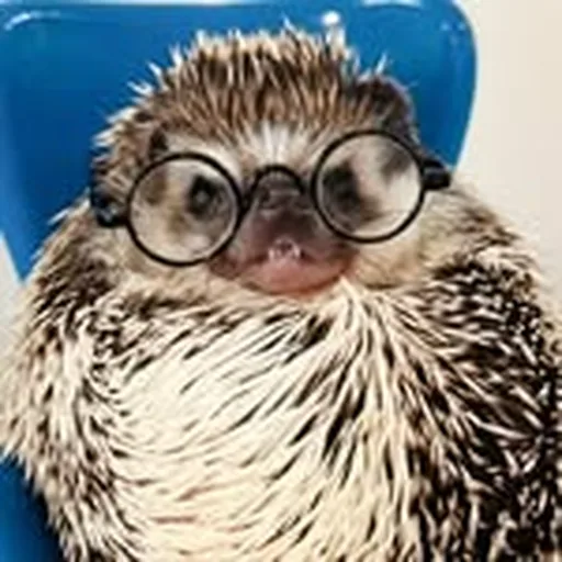 @lionelthehog profile image