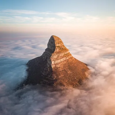 @lionsheadct profile image
