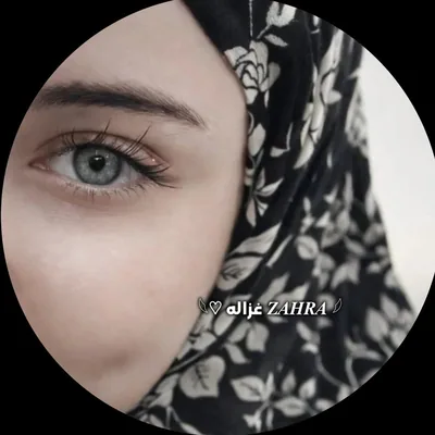 @lionss_33 profile image