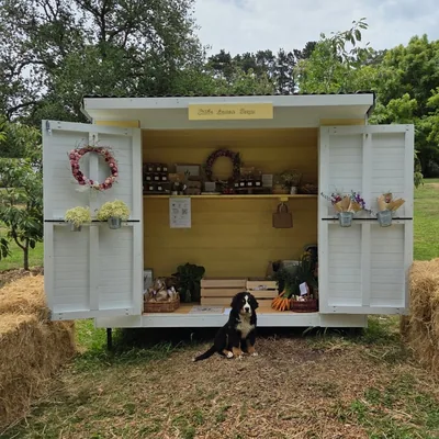 @little_lemon_farmstand profile image