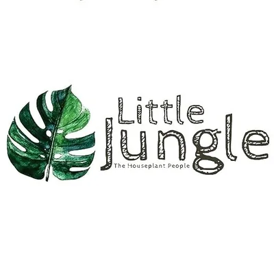 @littlejungle.in profile image