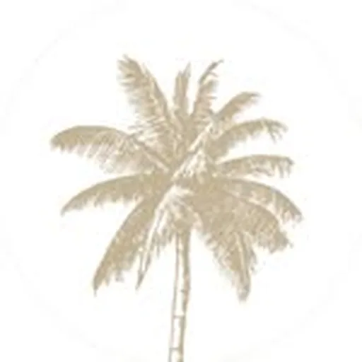 @littlepalmisland profile image