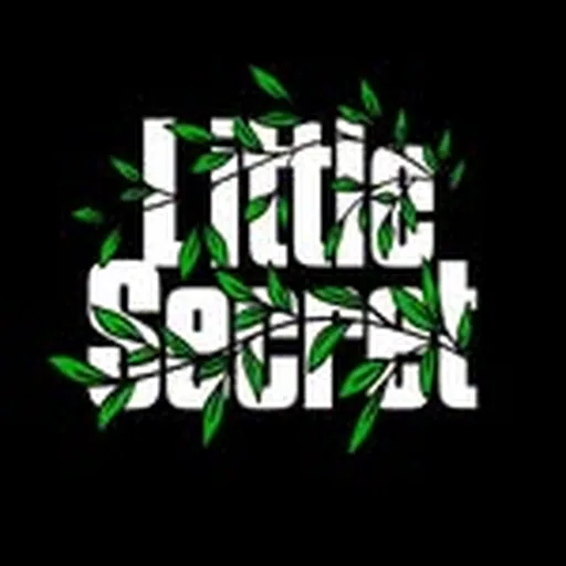 @littlesecret_la profile image