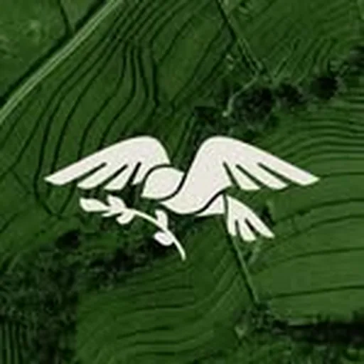 @livingstone.holyground profile image