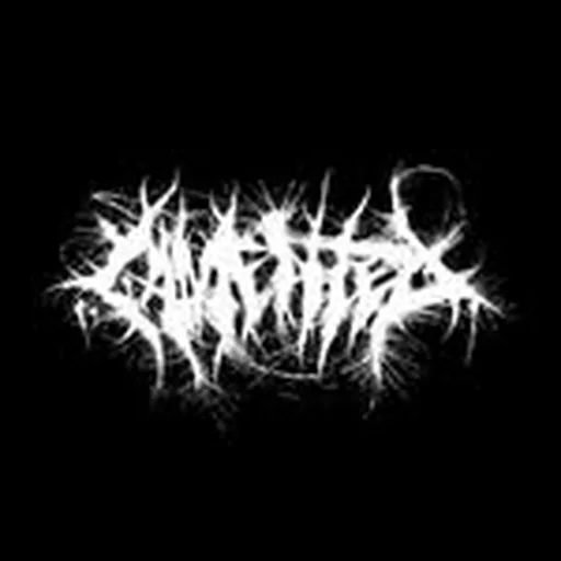 @lmntd.co profile image